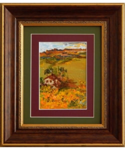 048 Desert Wildflowers